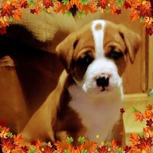 Meet your Posher, Katrina